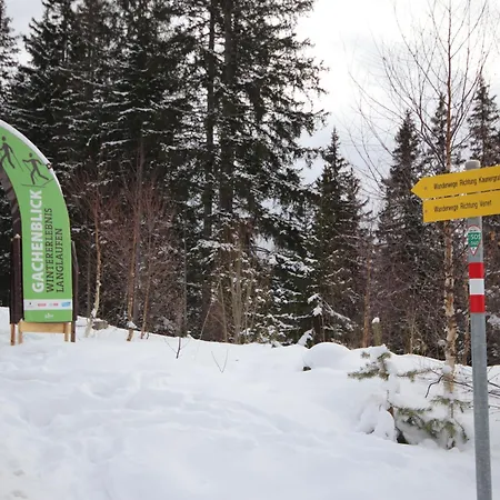 Ebenholz By Interhome Holiday home