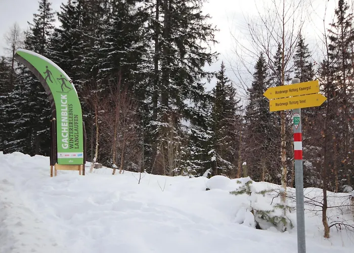 Ebenholz By Interhome Holiday home